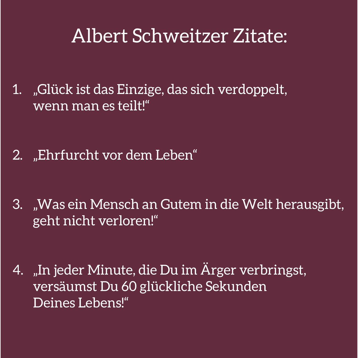 Zipper Albert-Schweitzer-Schule Kids