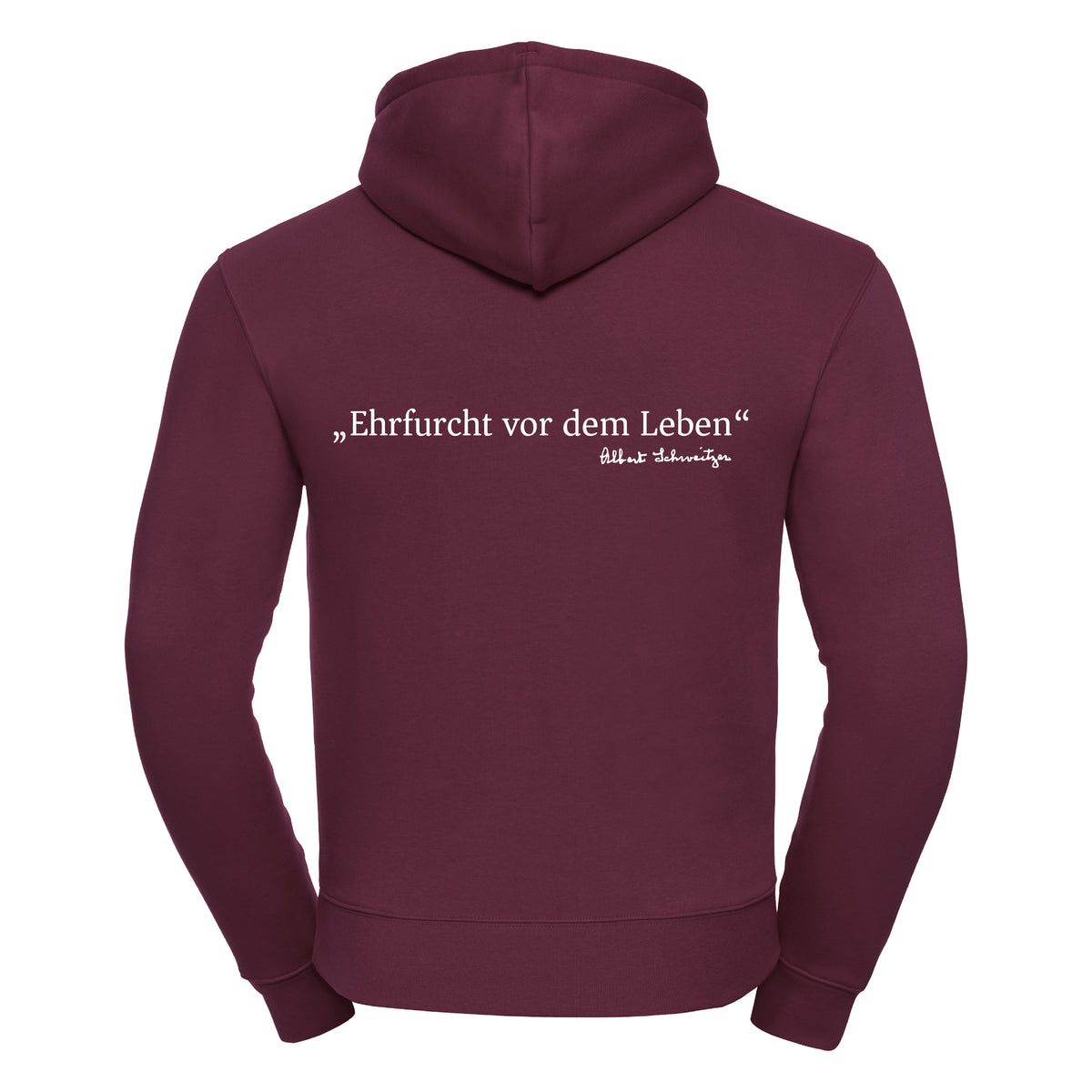 Hoodie Albert-Schweitzer-Schule Kids